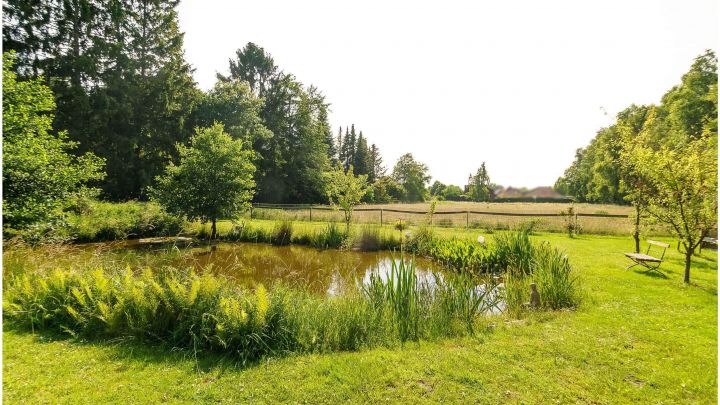 Einfamilienhaus mit großzügiger Einliegerwohnung

***zentral in Ostrhauderfehn auf ca. 7.500 m² Grundstück***